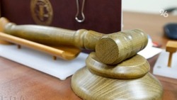 Сотрудницу органа опеки в Георгиевском округе осудили за халатность